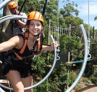 Wild Ropes at Taronga Zoo - Accommodation Perth