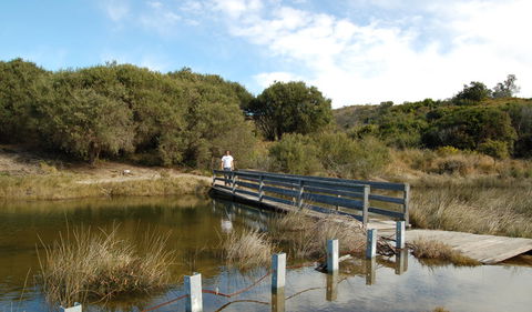 Wallarah National Park - Accommodation Perth 1