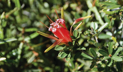 Wallarah National Park - Accommodation Perth 2
