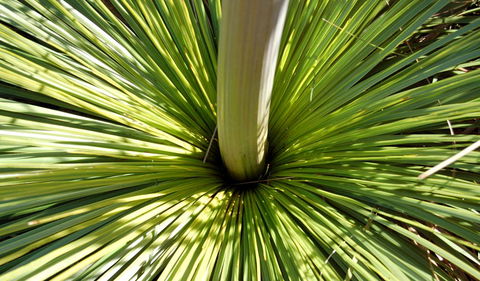 Wallarah National Park - Accommodation Perth 3