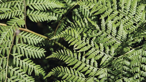 Glenrock State Conservation Area - Accommodation Perth 3