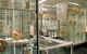 Museum Of Human Disease - thumb 0