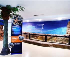 Sea Life Sunshine Coast - Accommodation Perth 2