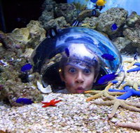 Sea Life Sunshine Coast - Perth Resorts