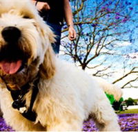Tuckeroo Park - Accommodation Perth