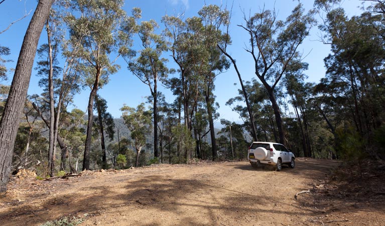 Wadbilliga NSW Accommodation Perth