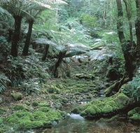 The Corn Trail Walk - Accommodation Perth