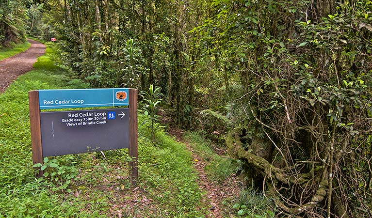 Border Ranges NSW Accommodation Perth
