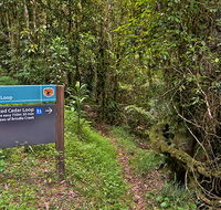 Red Cedar loop - Accommodation Perth