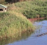 Spring Creek Wetlands Walk - Accommodation Perth