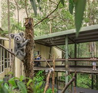 Daisy Hill Koala Centre - Accommodation Perth