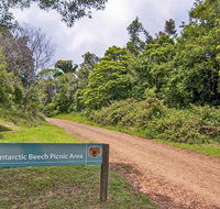 Antarctic Beech picnic area - Accommodation Perth