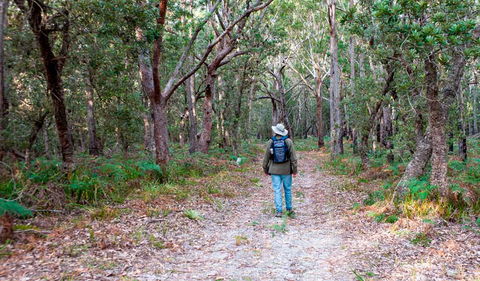 Narrawallee Inlet Walking Track - Accommodation Perth 1