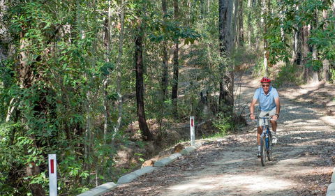 Monument Beach Ride From Bendalong - Accommodation Perth 2