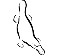 Platypus Gallery - Perth Resorts