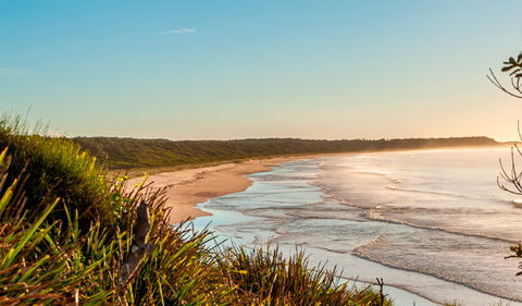 Burrawang Track - Conjola Beach To Buckleys Point - Accommodation Perth 2
