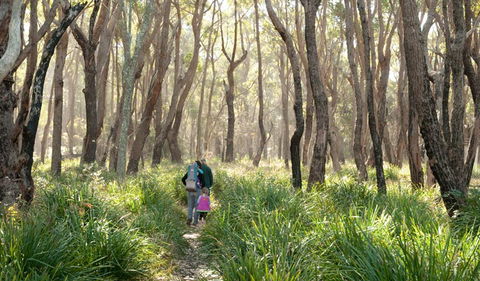 Nerindillah Lagoon Walking Track - Accommodation Perth 3