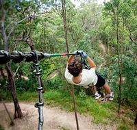 TreeTop Challenge - Accommodation Perth