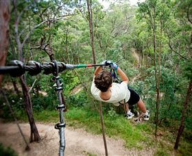 TreeTop Challenge - Accommodation Perth 0