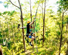 TreeTop Challenge - Accommodation Perth 3