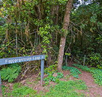 Falcorostrum loop walking track - Accommodation Perth
