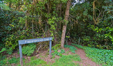 Falcorostrum Loop Walking Track - Accommodation Perth 0