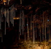 Tamborine Mountain Glow Worm Caves - Accommodation Perth
