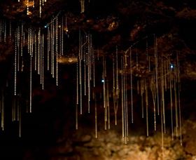 Tamborine Mountain Glow Worm Caves - Accommodation Perth 0