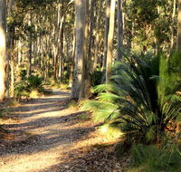 Square Head track 2 - Accommodation Perth