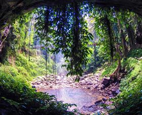 Dorrigo Rainforest Centre - Accommodation Perth 1