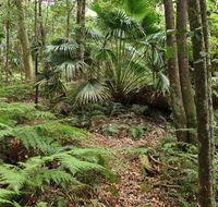 Durras Lake Discovery trail - Accommodation Perth