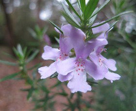 Booderee National Park Botanic Gardens - Accommodation Perth 5