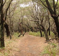 Pretty Beach to Snapper Point walking track - Accommodation Perth