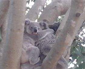 Mondrook Garden Cafe Gallery And Function Centre - Accommodation Perth 1