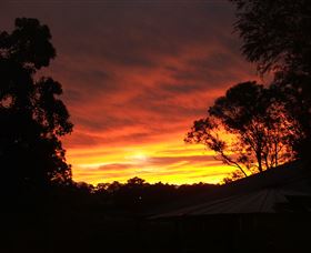 Tinonee Museum - Accommodation Perth 0