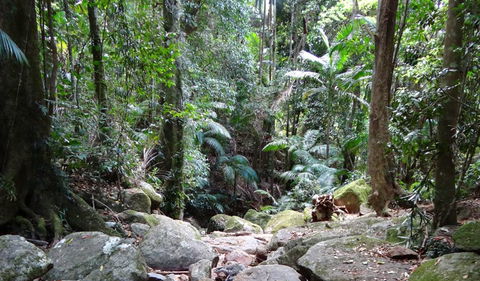 Wollumbin National Park - Accommodation Perth 2
