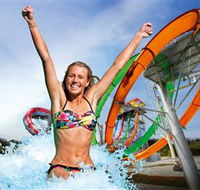 Wet'n'Wild Gold Coast - Accommodation Perth