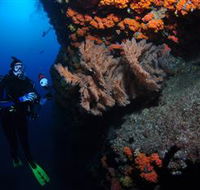 Gotham City Dive Site - Accommodation Perth