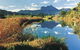 Wollumbin-Mount Warning National Park - thumb 1