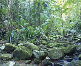 Rocky Creek Dam - Perth Resorts 5