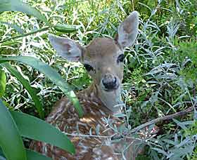 West Kempsey NSW Accommodation Perth