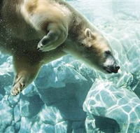 Australia's Sea World - Accommodation Perth