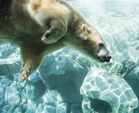 Australia's Sea World - Accommodation Perth 0