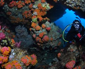 Cherubs Cave Dive Site - Accommodation Perth 2