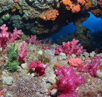 Cherubs Cave Dive Site - Accommodation Perth