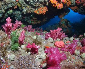 Cherubs Cave Dive Site - Accommodation Perth 0