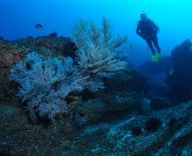 Cherubs Cave Dive Site - Accommodation Perth 3