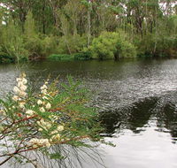 Wallingat National Park - Perth Resorts