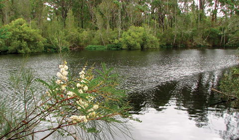 Wallingat National Park - Accommodation Perth 0