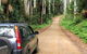 Wallingat National Park - thumb 2